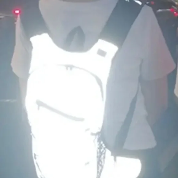 Reflective Backpack - Picture 6 of 6